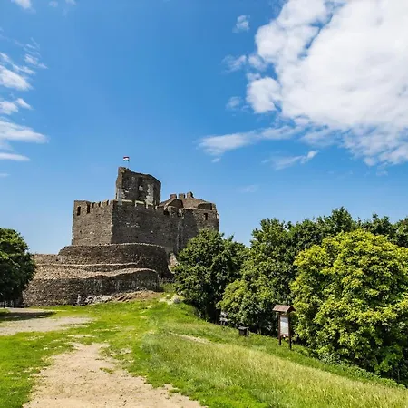 Lankas Vendeghaz - *