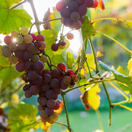 Сasa de vacaciones Lankás - Hollókő