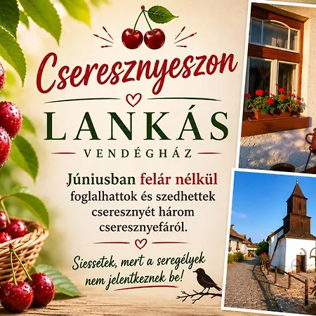 Lankás - Сasa de vacaciones
