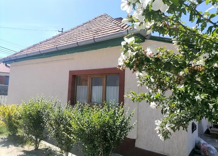 Holiday home Lankas Vendeghaz - Holloko